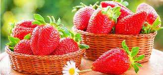 01-images-1--d7c9a8b3c84fc339fd465c29399