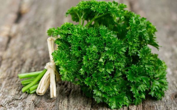 01-rau-mui-tay1-1631163268780122262081-8