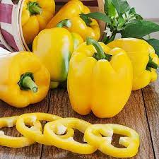 01-t-i-xu-ng-2--97bc3266fe2898ec67d06a90